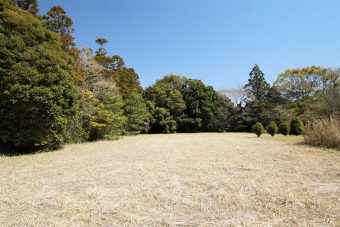 家庭菜園 千葉房総の不動産 田舎暮らし情報 房総スタイル